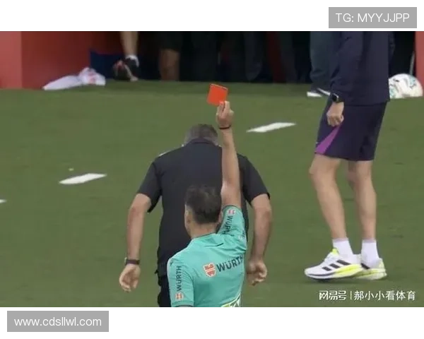 安东尼怒斥被黄潜球迷投掷水瓶事件呼吁赛场文明与尊重